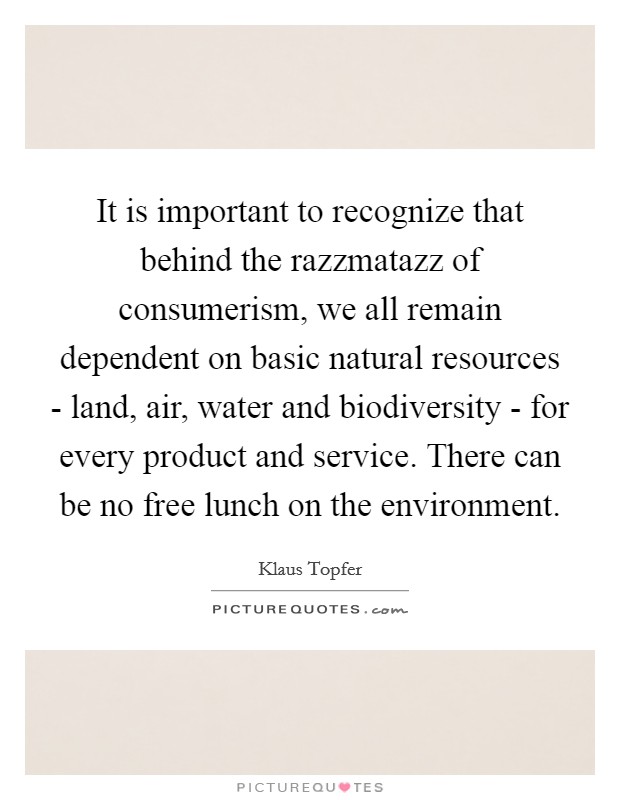 It is important to recognize that behind the razzmatazz of consumerism, we all remain dependent on basic natural resources - land, air, water and biodiversity - for every product and service. There can be no free lunch on the environment Picture Quote #1