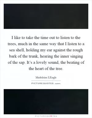 I like to take the time out to listen to the trees, much in the same way that I listen to a sea shell, holding my ear against the rough bark of the trunk, hearing the inner singing of the sap. It’s a lovely sound, the beating of the heart of the tree Picture Quote #1