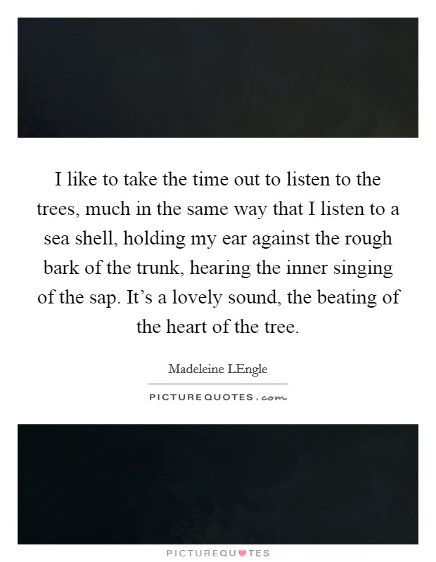 I like to take the time out to listen to the trees, much in the same way that I listen to a sea shell, holding my ear against the rough bark of the trunk, hearing the inner singing of the sap. It's a lovely sound, the beating of the heart of the tree Picture Quote #1
