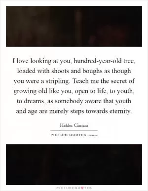 I love looking at you, hundred-year-old tree, loaded with shoots and boughs as though you were a stripling. Teach me the secret of growing old like you, open to life, to youth, to dreams, as somebody aware that youth and age are merely steps towards eternity Picture Quote #1