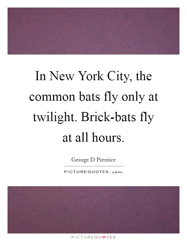 In New York City, the common bats fly only at twilight. Brick-bats fly at all hours Picture Quote #1