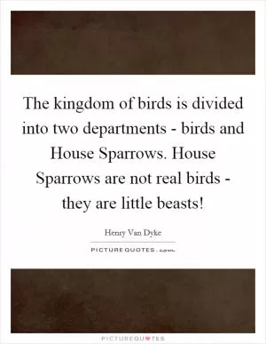The kingdom of birds is divided into two departments - birds and House Sparrows. House Sparrows are not real birds - they are little beasts! Picture Quote #1