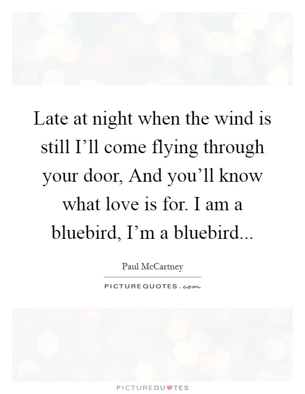 Late at night when the wind is still I'll come flying through your door, And you'll know what love is for. I am a bluebird, I'm a bluebird Picture Quote #1