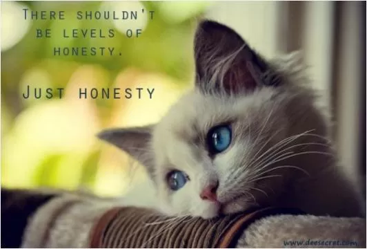 There shouldn't be levels of honesty. Just honesty Picture Quote #1
