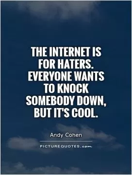 The Internet is for haters. Everyone wants to knock somebody down, but it's cool Picture Quote #1