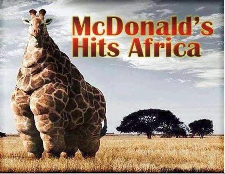 McDonald's hits Africa Picture Quote #1
