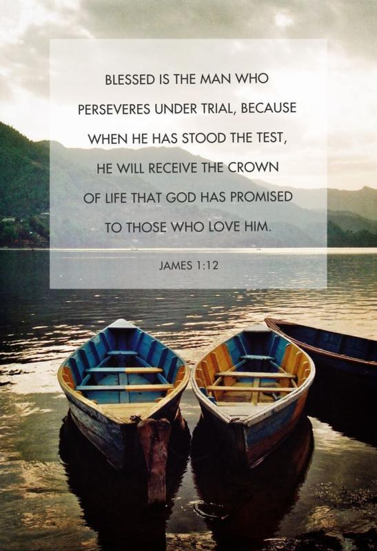 Blessed is the man who perseveres under trial, because when he has stood the test, he will receive the crown of life that God has promised to those who love him Picture Quote #1