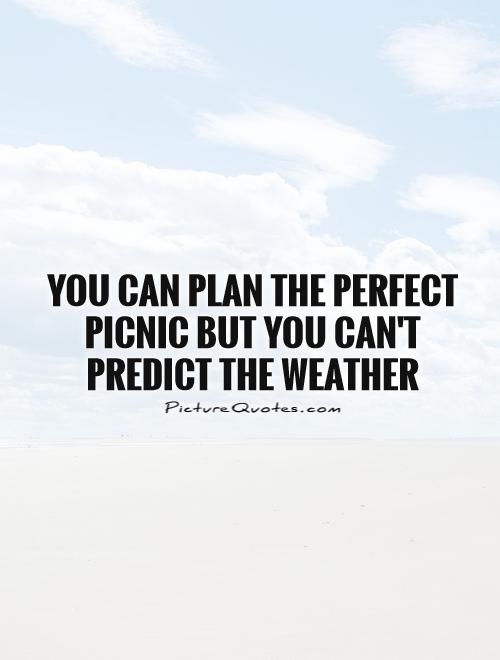 You can plan the perfect picnic but you can't predict the weather Picture Quote #1