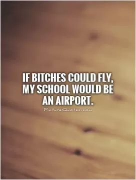 If bitches could fly, my school would be an airport Picture Quote #1