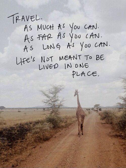 Travel. As much as you can. As far as you can. As long as you can. Life's not meant to be lived in one place Picture Quote #1