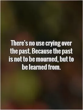 There's no use crying over the past. Because the past is not to be mourned, but to be learned from Picture Quote #1