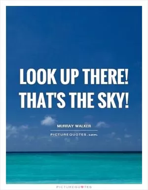 Look up there! That's the sky! Picture Quote #1