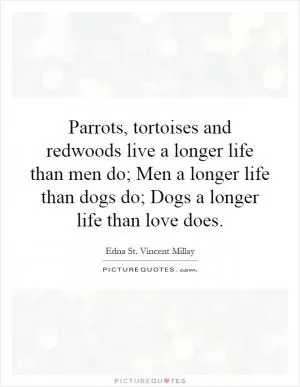 Parrots, tortoises and redwoods live a longer life than men do; Men a longer life than dogs do; Dogs a longer life than love does Picture Quote #1