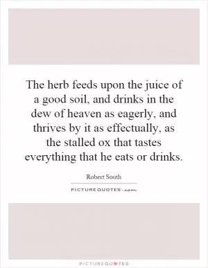The herb feeds upon the juice of a good soil, and drinks in the dew of heaven as eagerly, and thrives by it as effectually, as the stalled ox that tastes everything that he eats or drinks Picture Quote #1