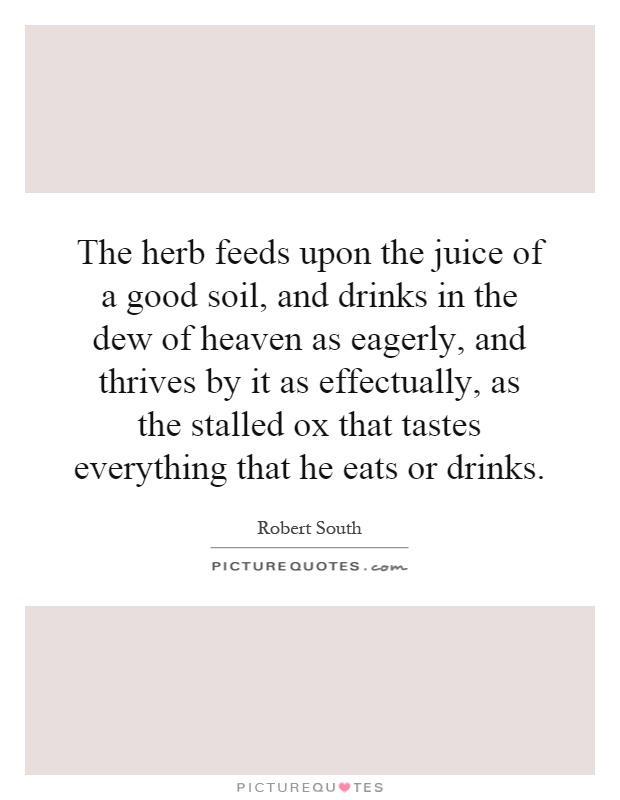 The herb feeds upon the juice of a good soil, and drinks in the dew of heaven as eagerly, and thrives by it as effectually, as the stalled ox that tastes everything that he eats or drinks Picture Quote #1