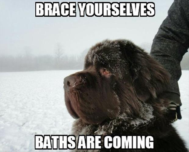 Brace yourselves, baths are coming Picture Quote #1