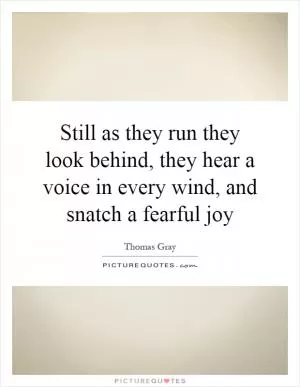 Still as they run they look behind, they hear a voice in every wind, and snatch a fearful joy Picture Quote #1