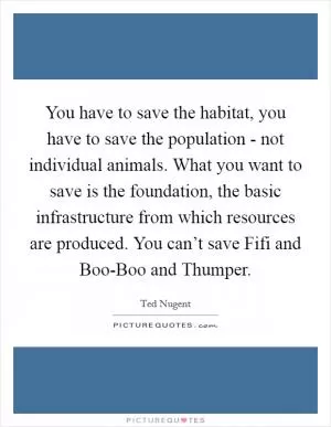 You have to save the habitat, you have to save the population - not individual animals. What you want to save is the foundation, the basic infrastructure from which resources are produced. You can’t save Fifi and Boo-Boo and Thumper Picture Quote #1