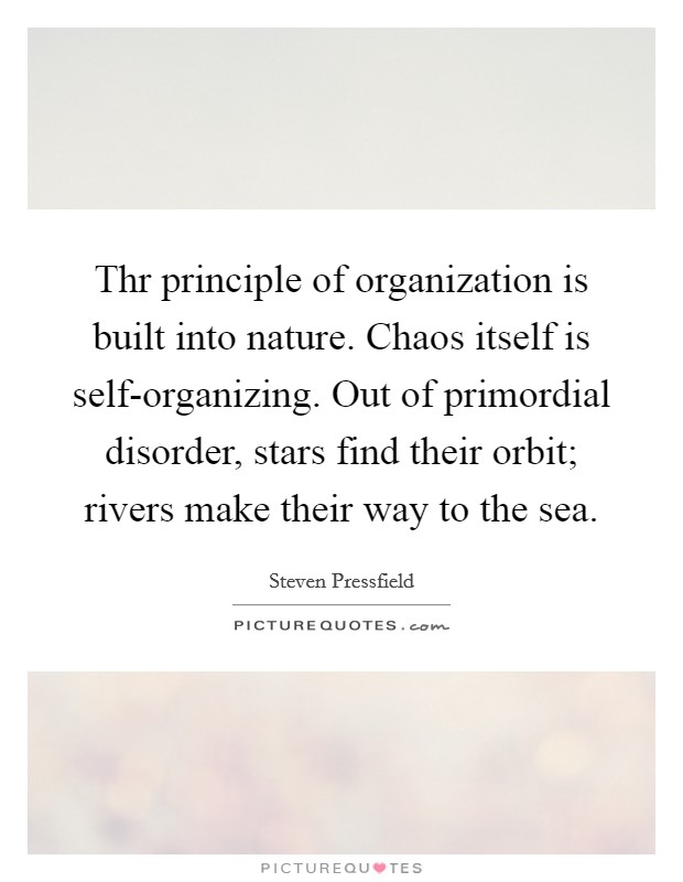 Thr principle of organization is built into nature. Chaos itself is self-organizing. Out of primordial disorder, stars find their orbit; rivers make their way to the sea Picture Quote #1