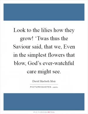 Look to the lilies how they grow! ‘Twas thus the Saviour said, that we, Even in the simplest flowers that blow, God’s ever-watchful care might see Picture Quote #1