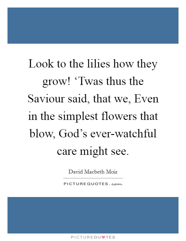 Look to the lilies how they grow! ‘Twas thus the Saviour said, that we, Even in the simplest flowers that blow, God's ever-watchful care might see Picture Quote #1