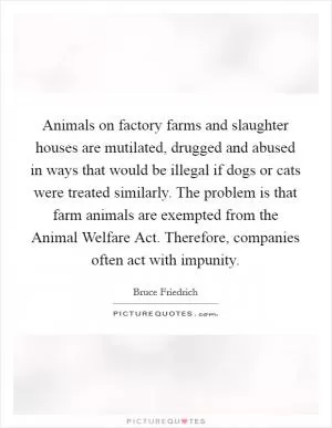 Animals on factory farms and slaughter houses are mutilated, drugged and abused in ways that would be illegal if dogs or cats were treated similarly. The problem is that farm animals are exempted from the Animal Welfare Act. Therefore, companies often act with impunity Picture Quote #1