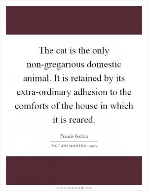The cat is the only non-gregarious domestic animal. It is retained by its extra-ordinary adhesion to the comforts of the house in which it is reared Picture Quote #1