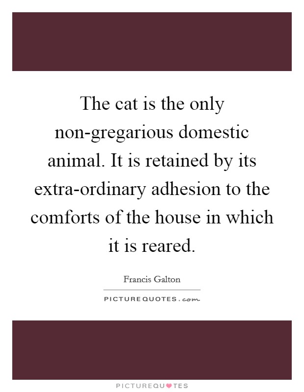 The cat is the only non-gregarious domestic animal. It is retained by its extra-ordinary adhesion to the comforts of the house in which it is reared Picture Quote #1