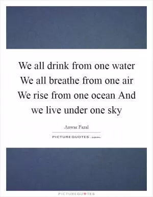 We all drink from one water We all breathe from one air We rise from one ocean And we live under one sky Picture Quote #1