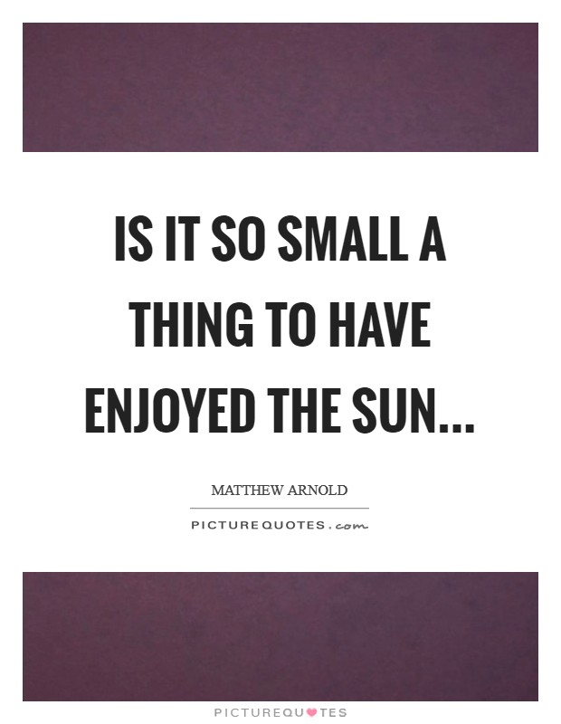Is it so small a thing To have enjoyed the sun Picture Quote #1