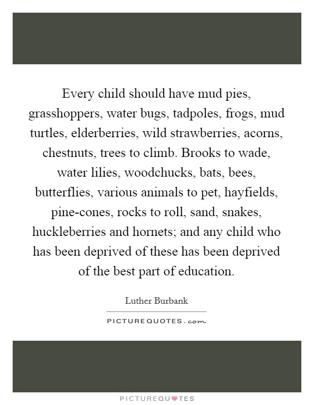 Every child should have mud pies, grasshoppers, water bugs, tadpoles, frogs, mud turtles, elderberries, wild strawberries, acorns, chestnuts, trees to climb. Brooks to wade, water lilies, woodchucks, bats, bees, butterflies, various animals to pet, hayfields, pine-cones, rocks to roll, sand, snakes, huckleberries and hornets; and any child who has been deprived of these has been deprived of the best part of education Picture Quote #1
