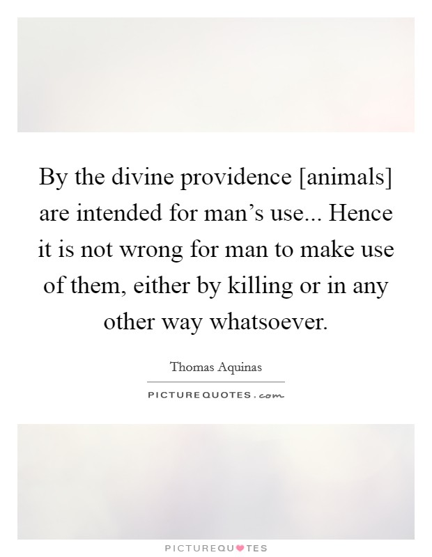 By the divine providence [animals] are intended for man's use... Hence it is not wrong for man to make use of them, either by killing or in any other way whatsoever Picture Quote #1
