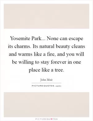 Yosemite Park... None can escape its charms. Its natural beauty cleans and warms like a fire, and you will be willing to stay forever in one place like a tree Picture Quote #1