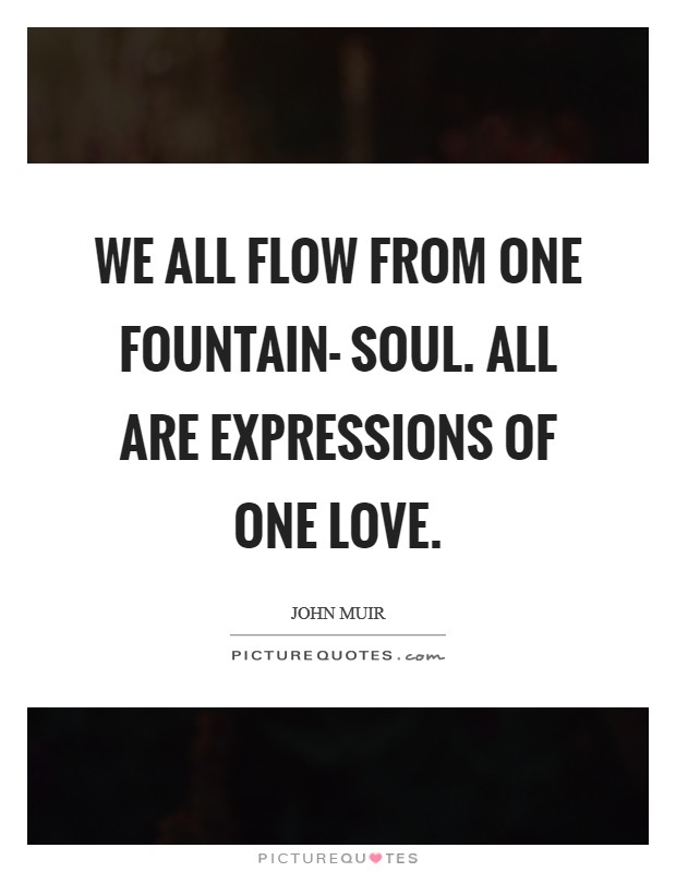 We all flow from one fountain- Soul. All are expressions of one love Picture Quote #1
