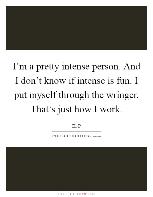 I'm a pretty intense person. And I don't know if intense is fun. I put myself through the wringer. That's just how I work Picture Quote #1