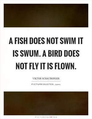 A fish does not swim it is SWUM. A bird does not FLY it is flown Picture Quote #1