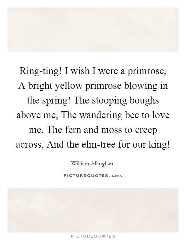 Ring-ting! I wish I were a primrose, A bright yellow primrose blowing in the spring! The stooping boughs above me, The wandering bee to love me, The fern and moss to creep across, And the elm-tree for our king! Picture Quote #1