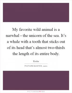 My favorite wild animal is a narwhal - the unicorn of the sea. It’s a whale with a tooth that sticks out of its head that’s almost two-thirds the length of its entire body Picture Quote #1