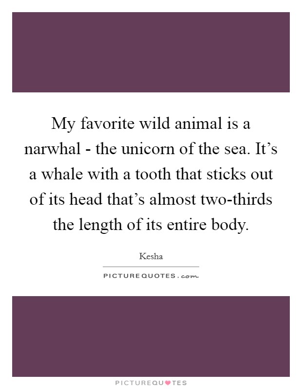 My favorite wild animal is a narwhal - the unicorn of the sea. It's a whale with a tooth that sticks out of its head that's almost two-thirds the length of its entire body Picture Quote #1