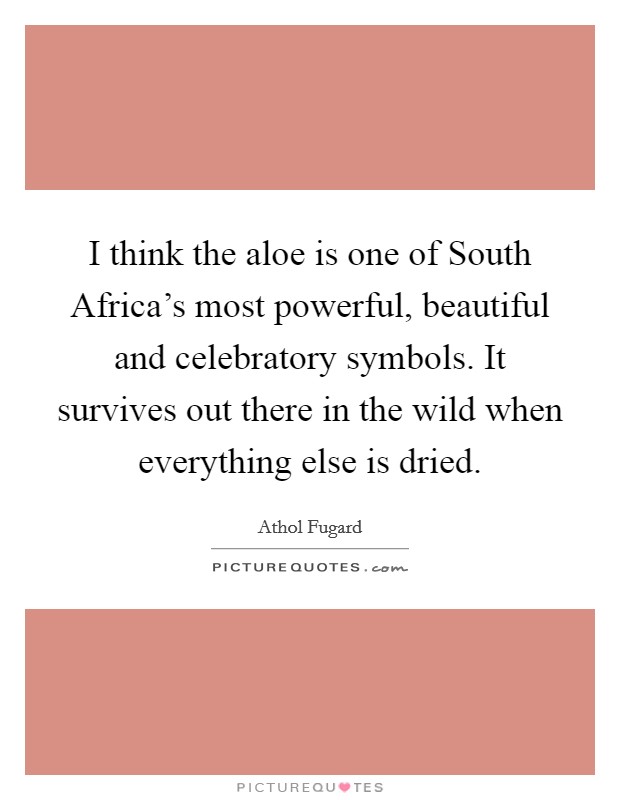 I think the aloe is one of South Africa's most powerful, beautiful and celebratory symbols. It survives out there in the wild when everything else is dried Picture Quote #1