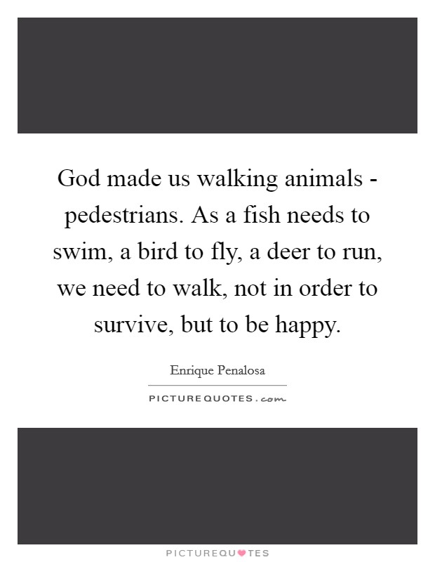 God made us walking animals - pedestrians. As a fish needs to swim, a bird to fly, a deer to run, we need to walk, not in order to survive, but to be happy Picture Quote #1