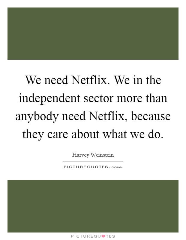 We need Netflix. We in the independent sector more than anybody need Netflix, because they care about what we do Picture Quote #1