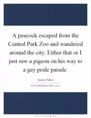 A peacock escaped from the Central Park Zoo and wandered around the city. Either that or I just saw a pigeon on his way to a gay pride parade Picture Quote #1