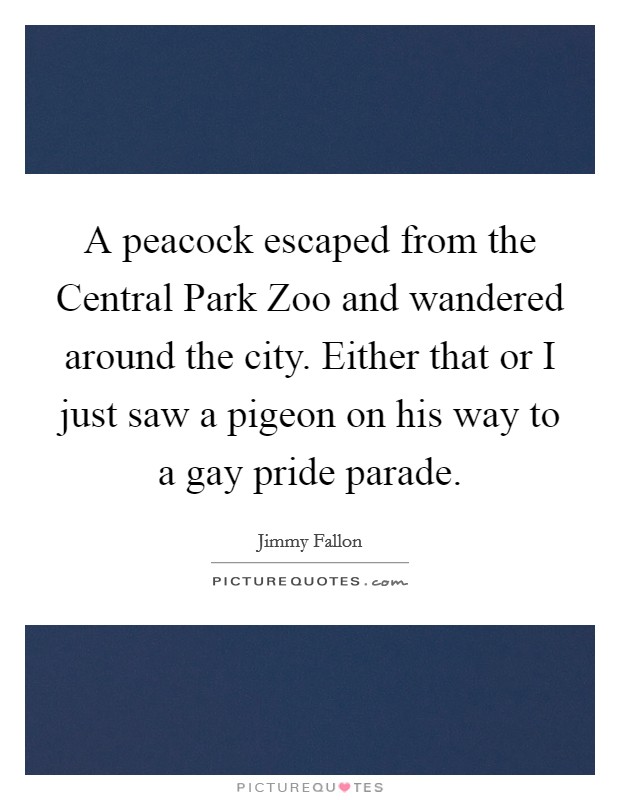 A peacock escaped from the Central Park Zoo and wandered around the city. Either that or I just saw a pigeon on his way to a gay pride parade Picture Quote #1