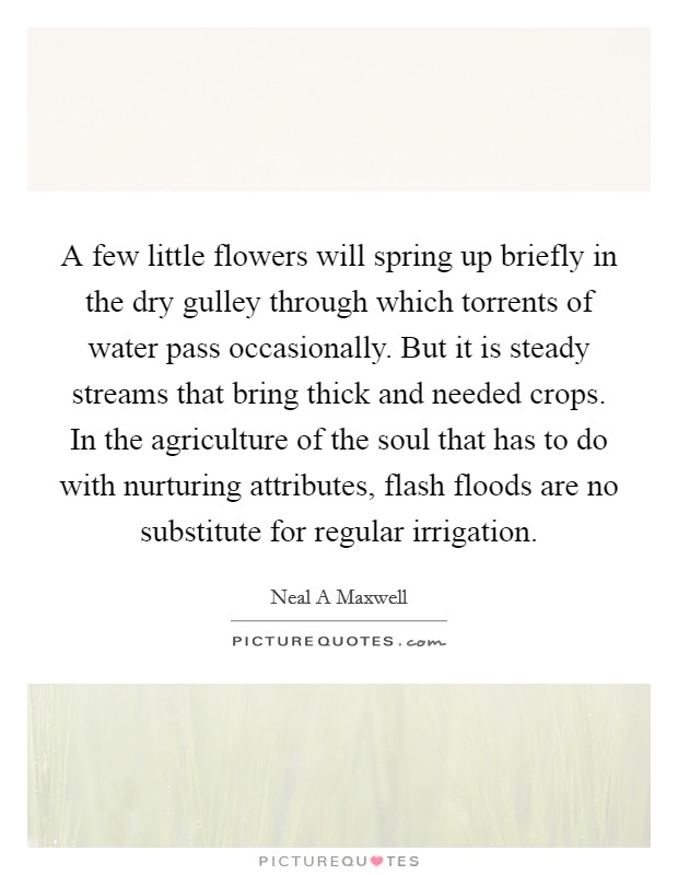 A few little flowers will spring up briefly in the dry gulley through which torrents of water pass occasionally. But it is steady streams that bring thick and needed crops. In the agriculture of the soul that has to do with nurturing attributes, flash floods are no substitute for regular irrigation Picture Quote #1