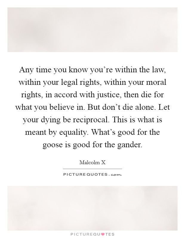 Any time you know you're within the law, within your legal rights, within your moral rights, in accord with justice, then die for what you believe in. But don't die alone. Let your dying be reciprocal. This is what is meant by equality. What's good for the goose is good for the gander Picture Quote #1