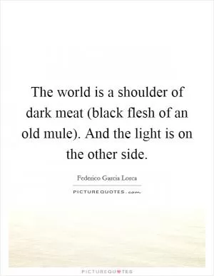 The world is a shoulder of dark meat (black flesh of an old mule). And the light is on the other side Picture Quote #1