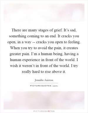 There are many stages of grief. It’s sad, something coming to an end. It cracks you open, in a way -- cracks you open to feeling. When you try to avoid the pain, it creates greater pain. I’m a human being, having a human experience in front of the world. I wish it weren’t in front of the world. I try really hard to rise above it Picture Quote #1
