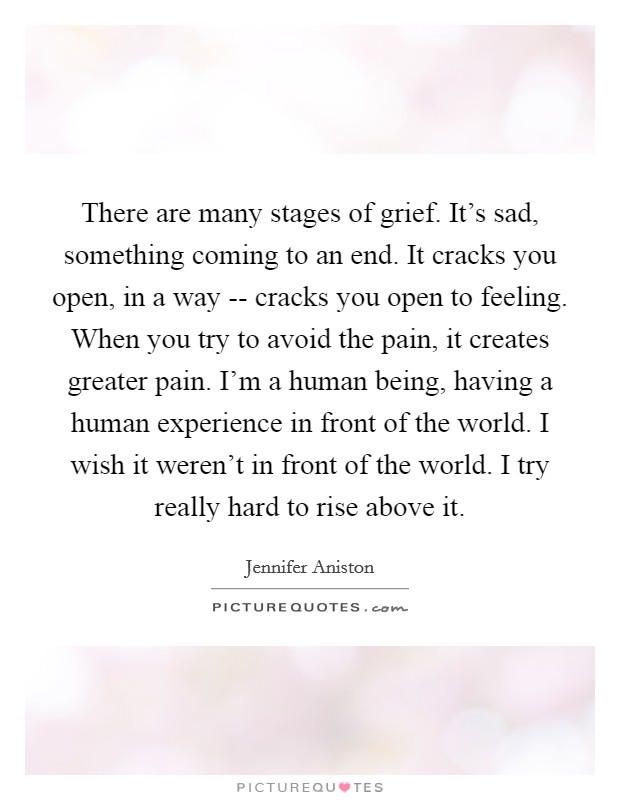 There are many stages of grief. It's sad, something coming to an end. It cracks you open, in a way -- cracks you open to feeling. When you try to avoid the pain, it creates greater pain. I'm a human being, having a human experience in front of the world. I wish it weren't in front of the world. I try really hard to rise above it Picture Quote #1