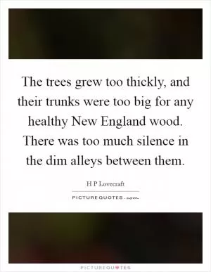 The trees grew too thickly, and their trunks were too big for any healthy New England wood. There was too much silence in the dim alleys between them Picture Quote #1
